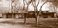 The Goldman House