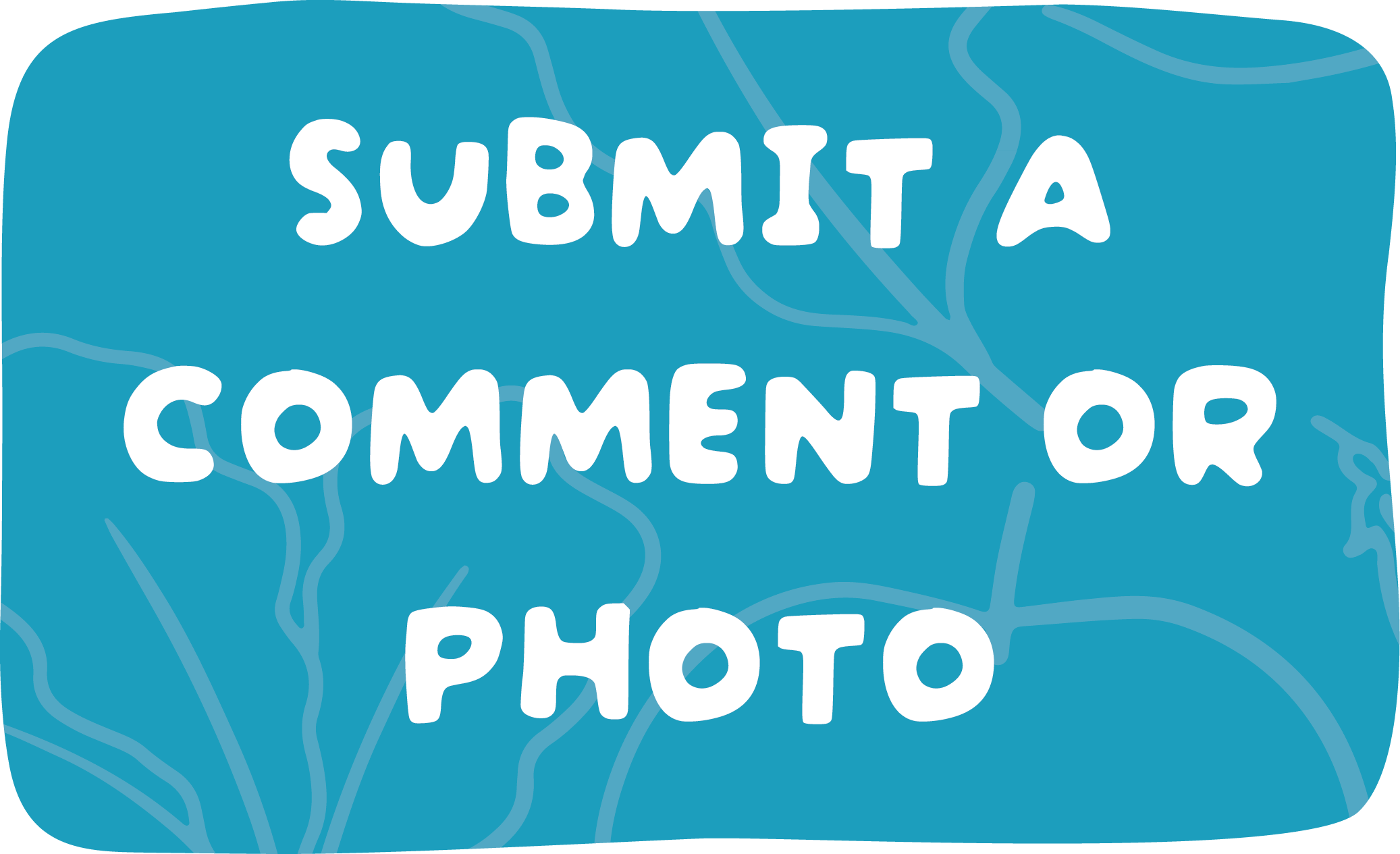 Submit a comment or photo